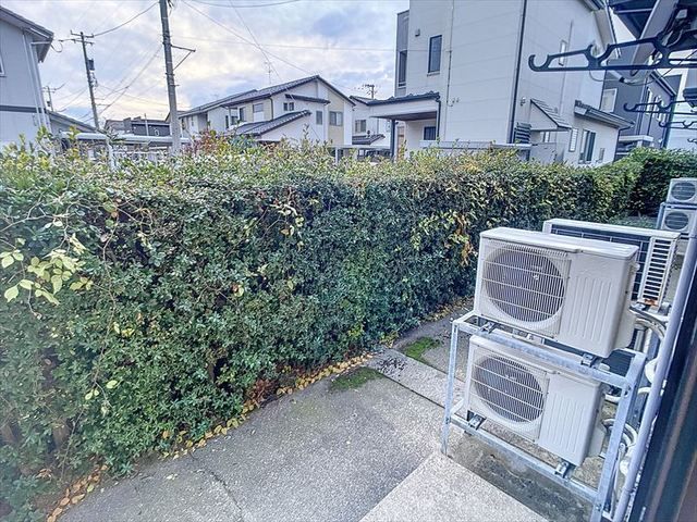 庭