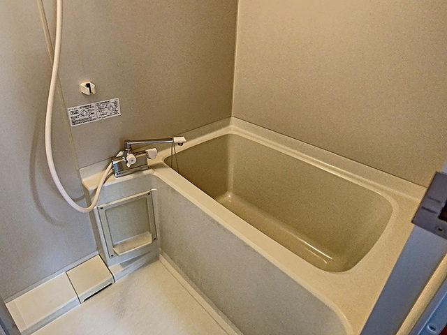 バス