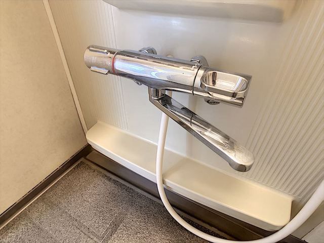 バス