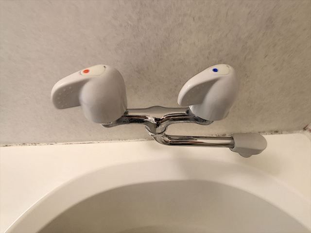 バス