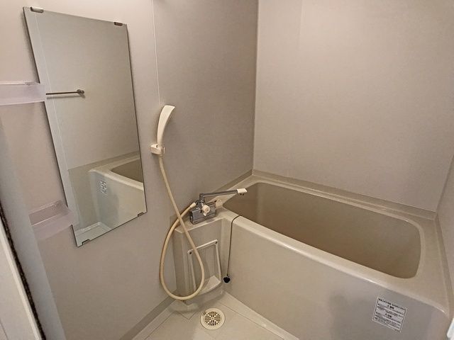 バス