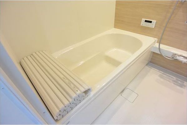 バス