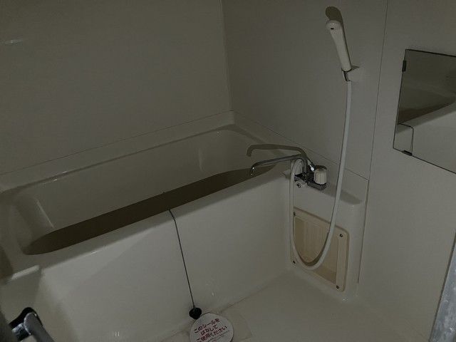 バス