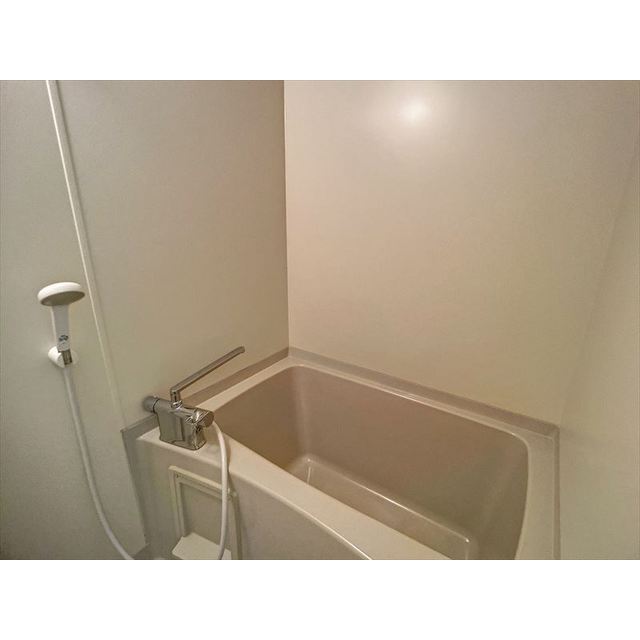 バス