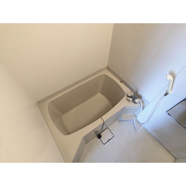 バス