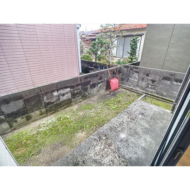 庭