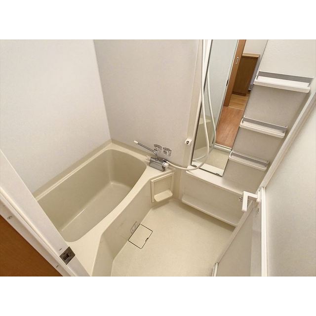バス