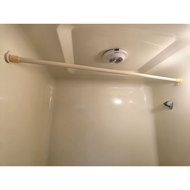 バス